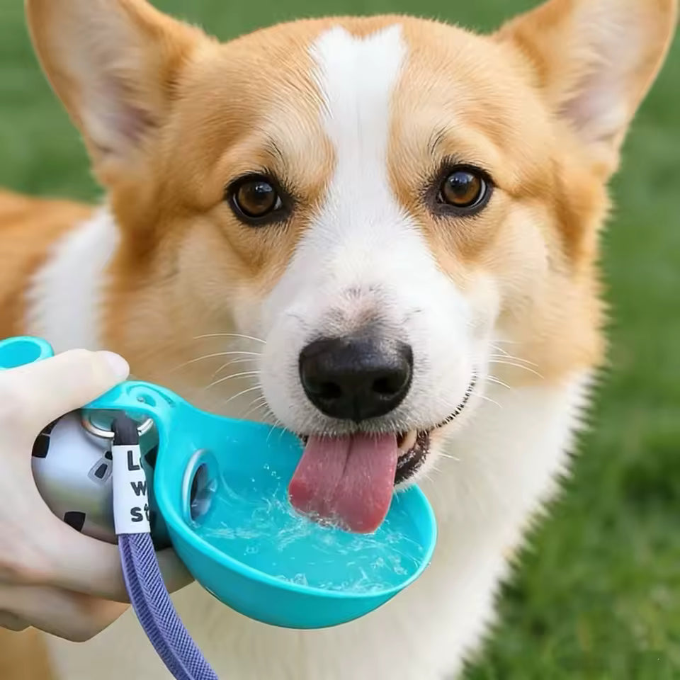 Portable Dog Water Ball
